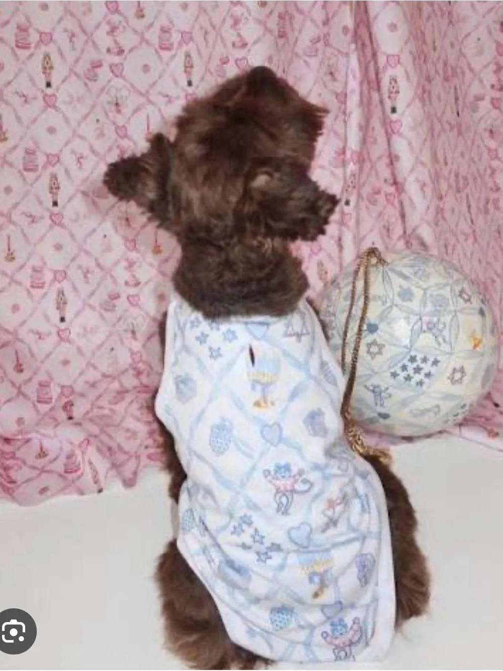 Roller Rabbit X LoveShackFancy starry nights lattice dog pajamas NWT medium
